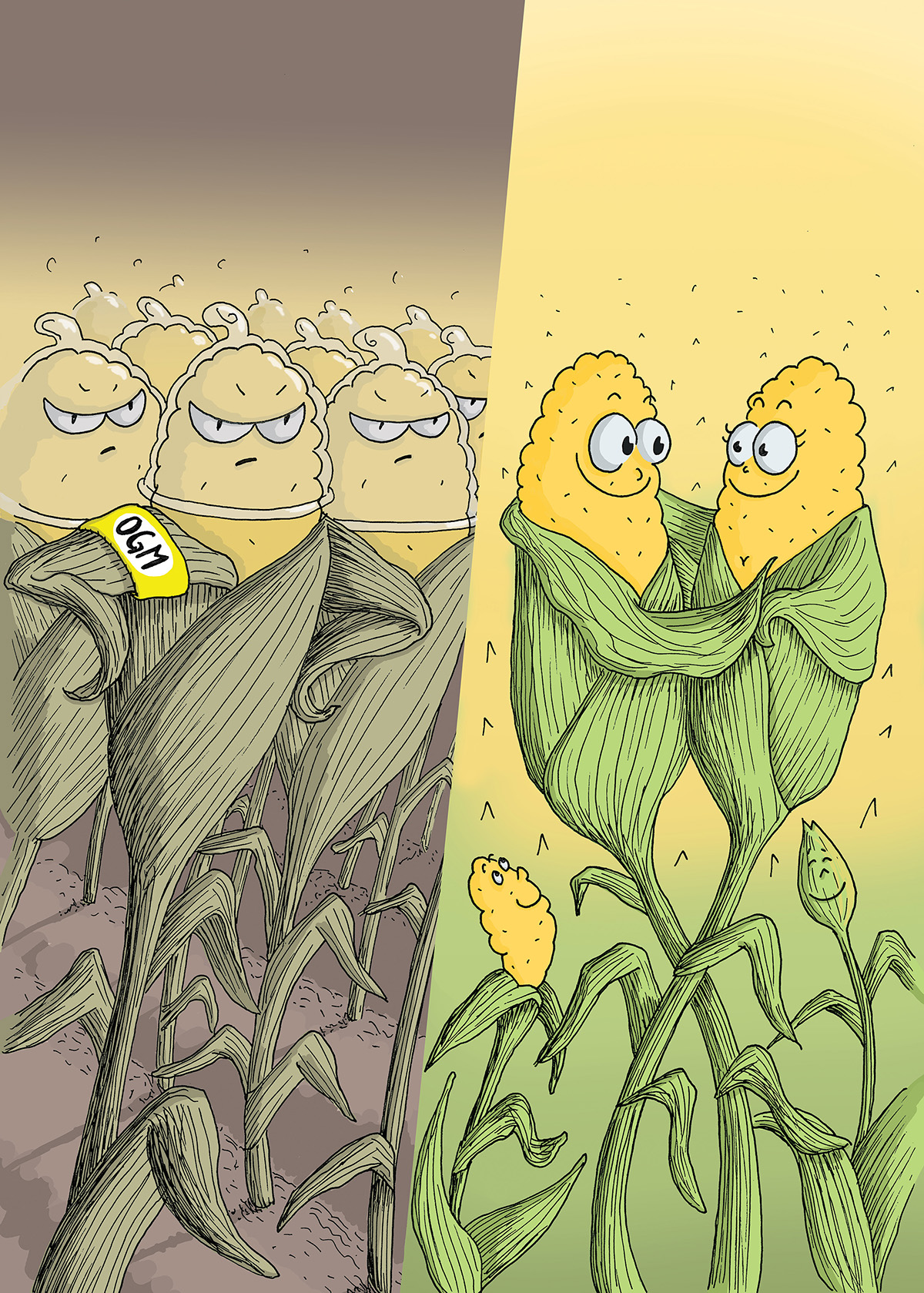 OGM bio mais corn sketch dessin jaune vert Nature champ anti ogm paysage amoureux armée preservatif