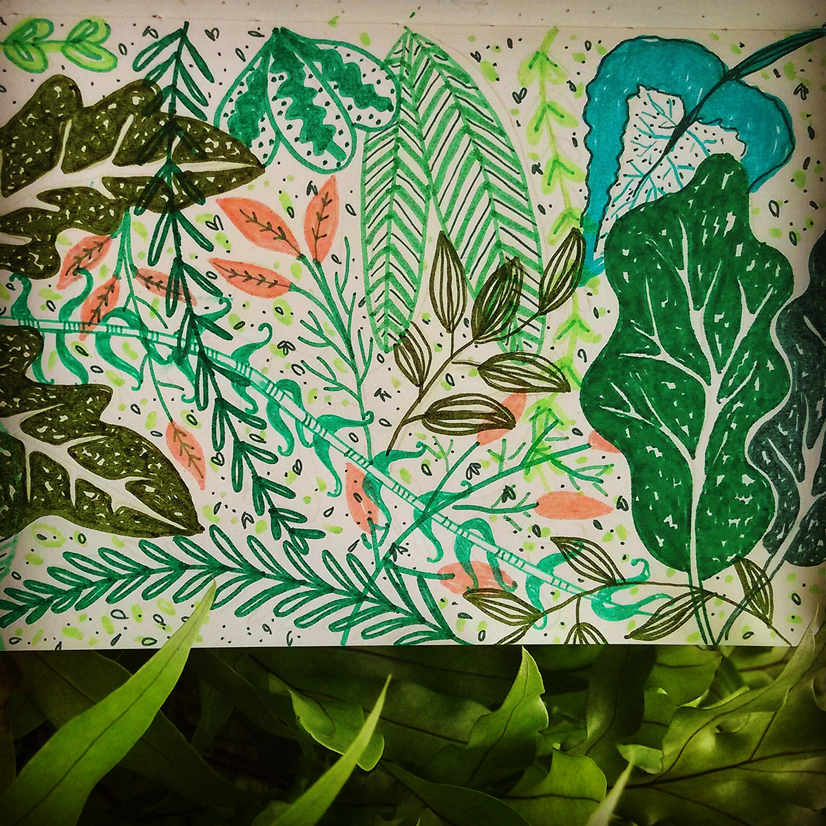 jardin Flores plantas hojas colores acuarelas vinilos moleskine ilustracion