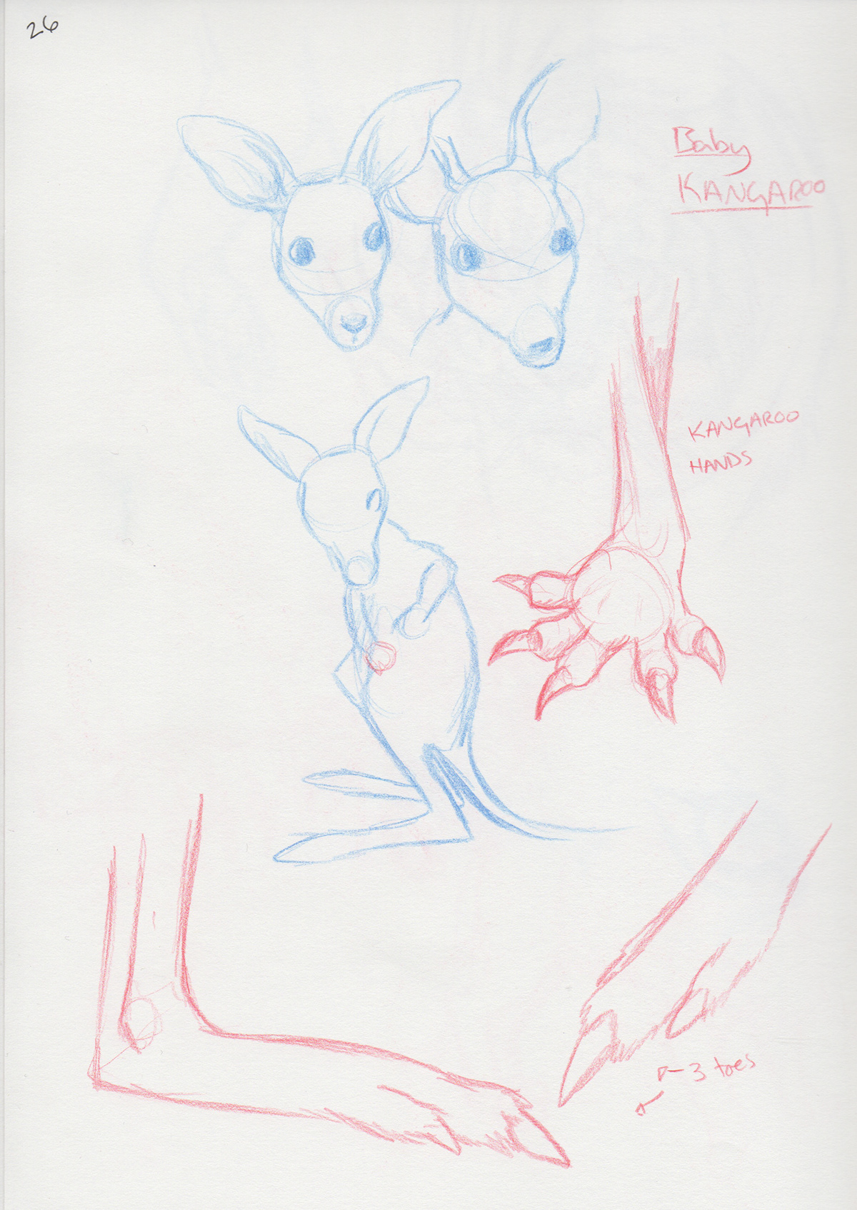 studies deer horses alligator feet hands human animal kangaroo tiger snake drawings  sketches