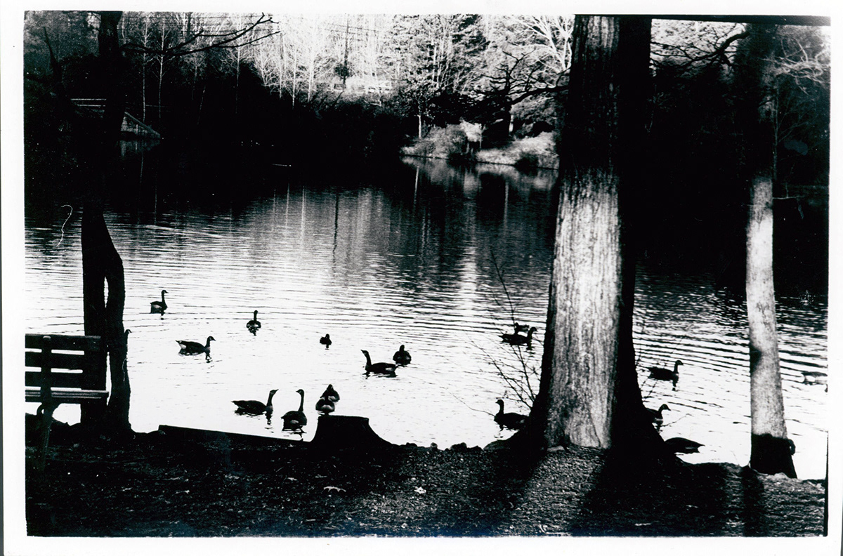 darkroom black and white photo narrative Landscape multiple exposure solarization negative sandwich negative black and whitefilm ilford400 kodak enlarger