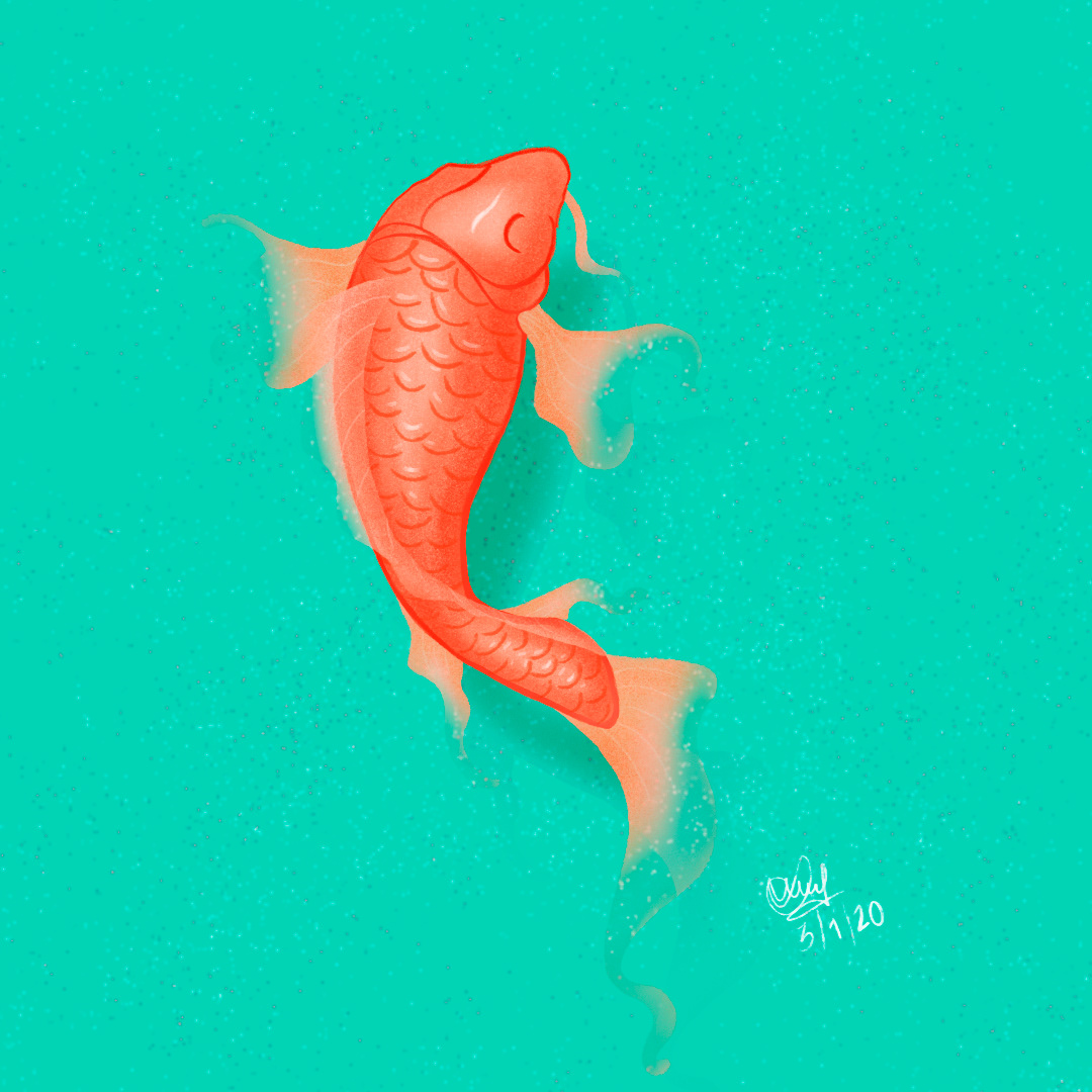 artwork Digital Art  digital illustration Drawing  fish ILLUSTRATION  painting   Procreate