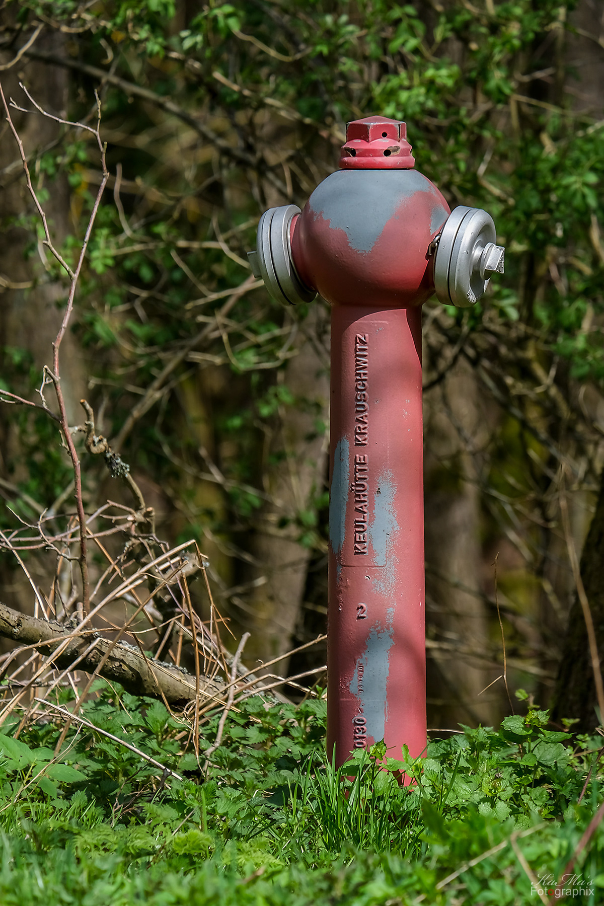 Adobe Photoshop fire forest fujifilm fujifilmxs10 hydrant Nature Outdoor Photography  water
