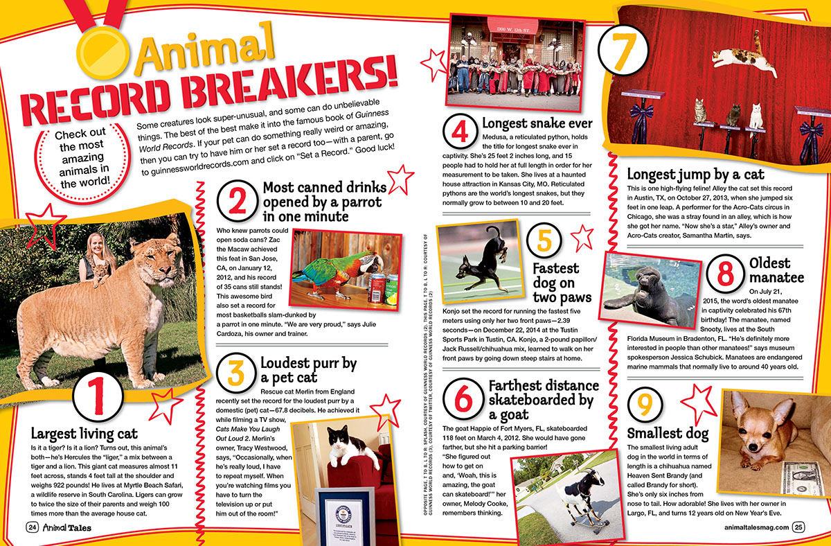 Feature: Animal Record Breakers- Animal Tales Magazine on Behance