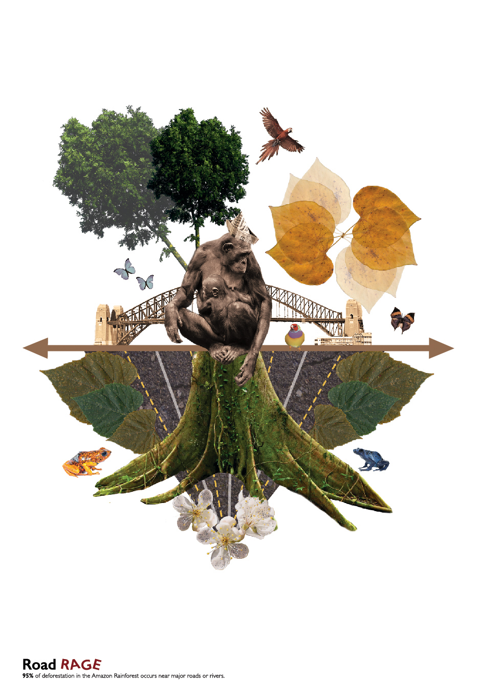 environmental conceptual Poster Design collage oklahoma state university