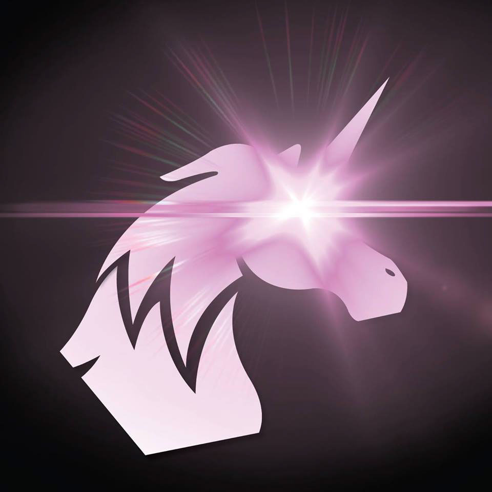 roleplaying D&D logo logodesign design unicorn pink fantasy Rollplaying dices