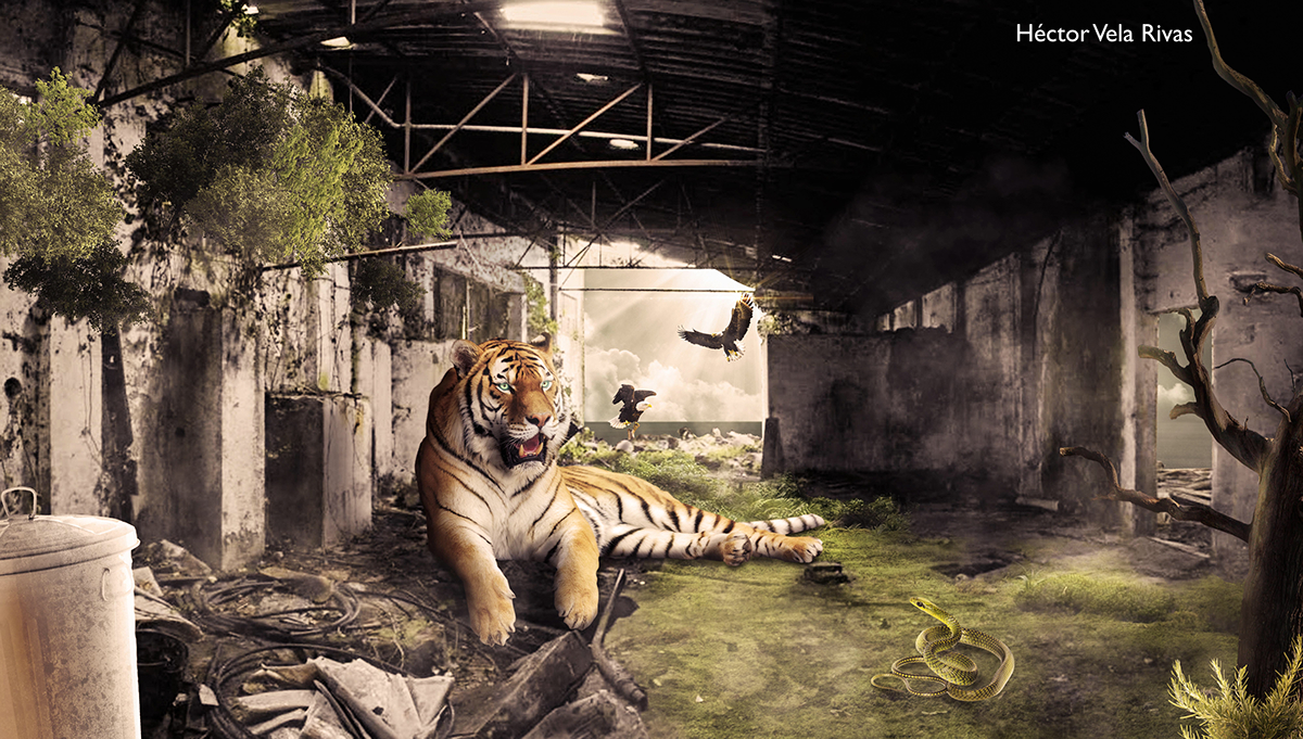 tigre Matte Painting foto montaje Fotocomposición