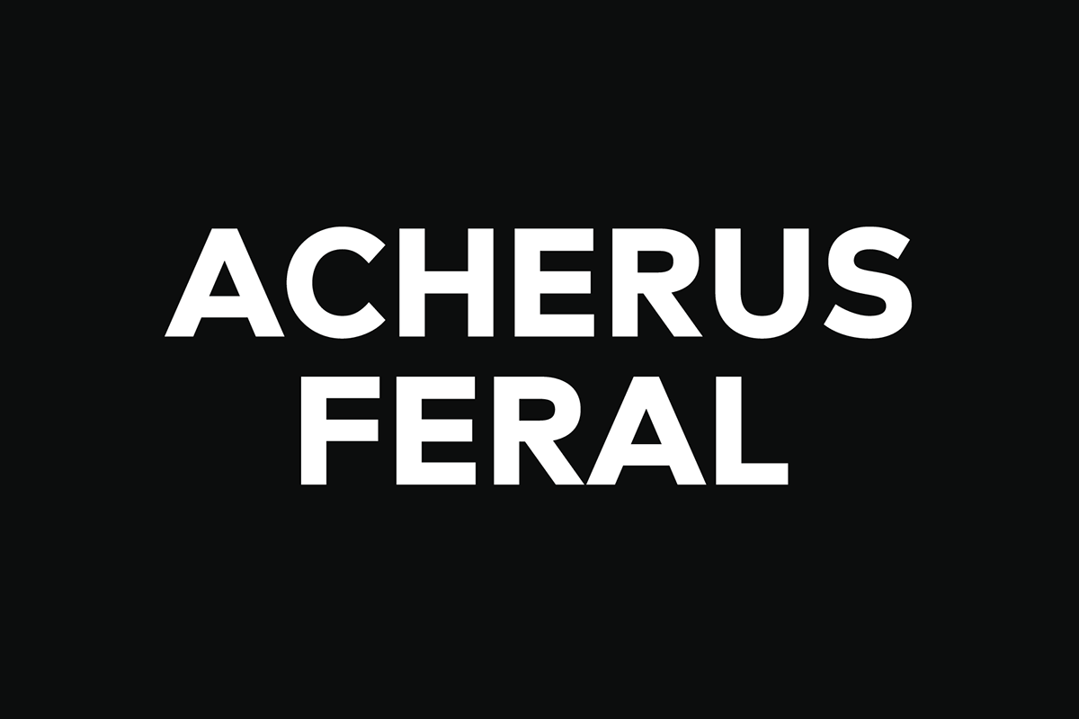 Acherus Acherus Feral branding  clean feral grotesk grotesque modern sans Sharp