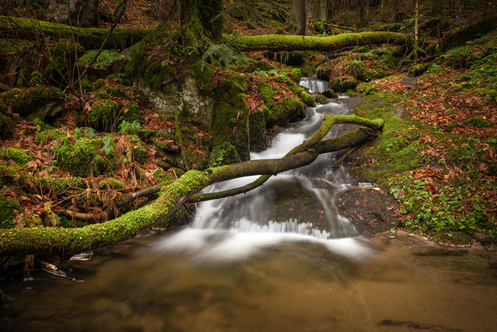 Landscape waterfall stream Fall autnum herbst wasserfall Landschaft forest wald