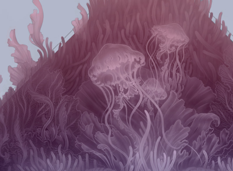 Minimalism detail Ocean photoshop genesis jellyfish color