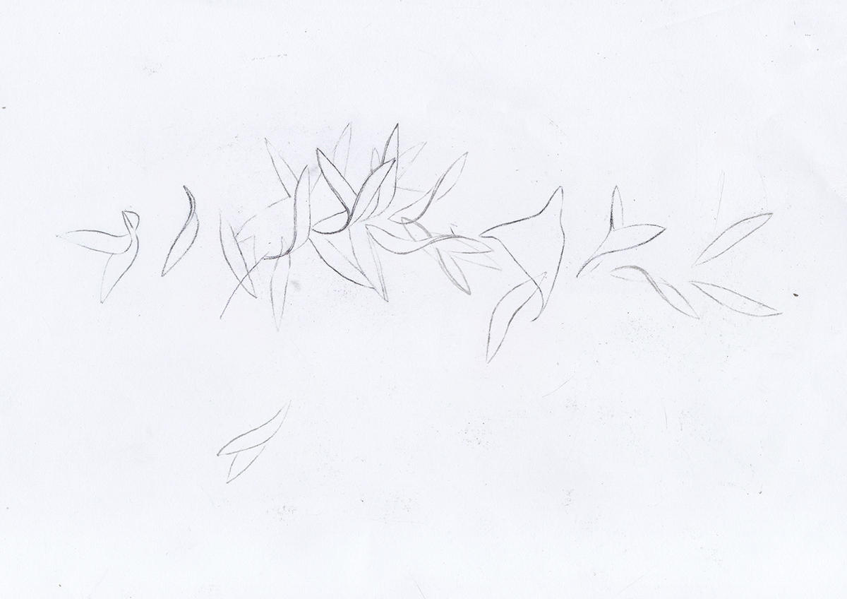 bionics Calligraphy   myth Drawing  antiquity narcissus Alcyone Daphne METAMORPHOSES