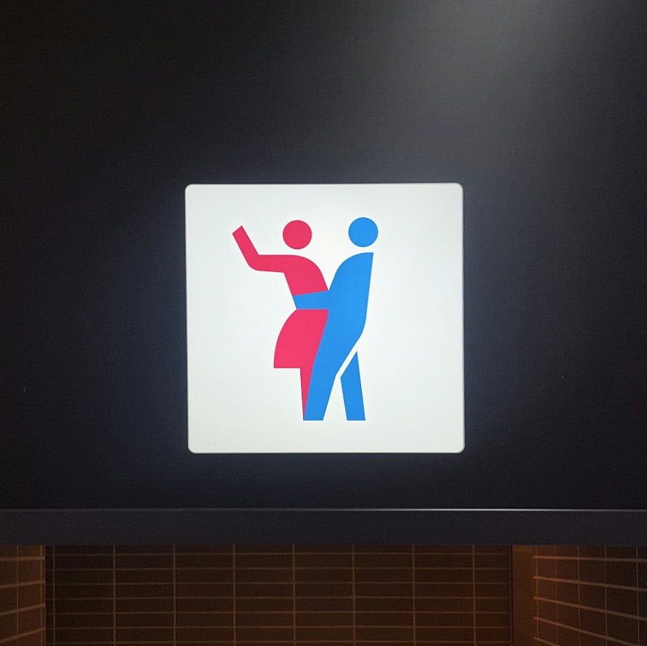 pictogram sign redesign isotype publicdesign graphic Icon meanimize signsystem illust