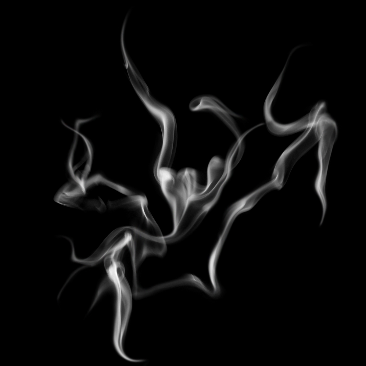 free Form surreal abstract smoke black and white charles andrew seaton charlesandrewseaton