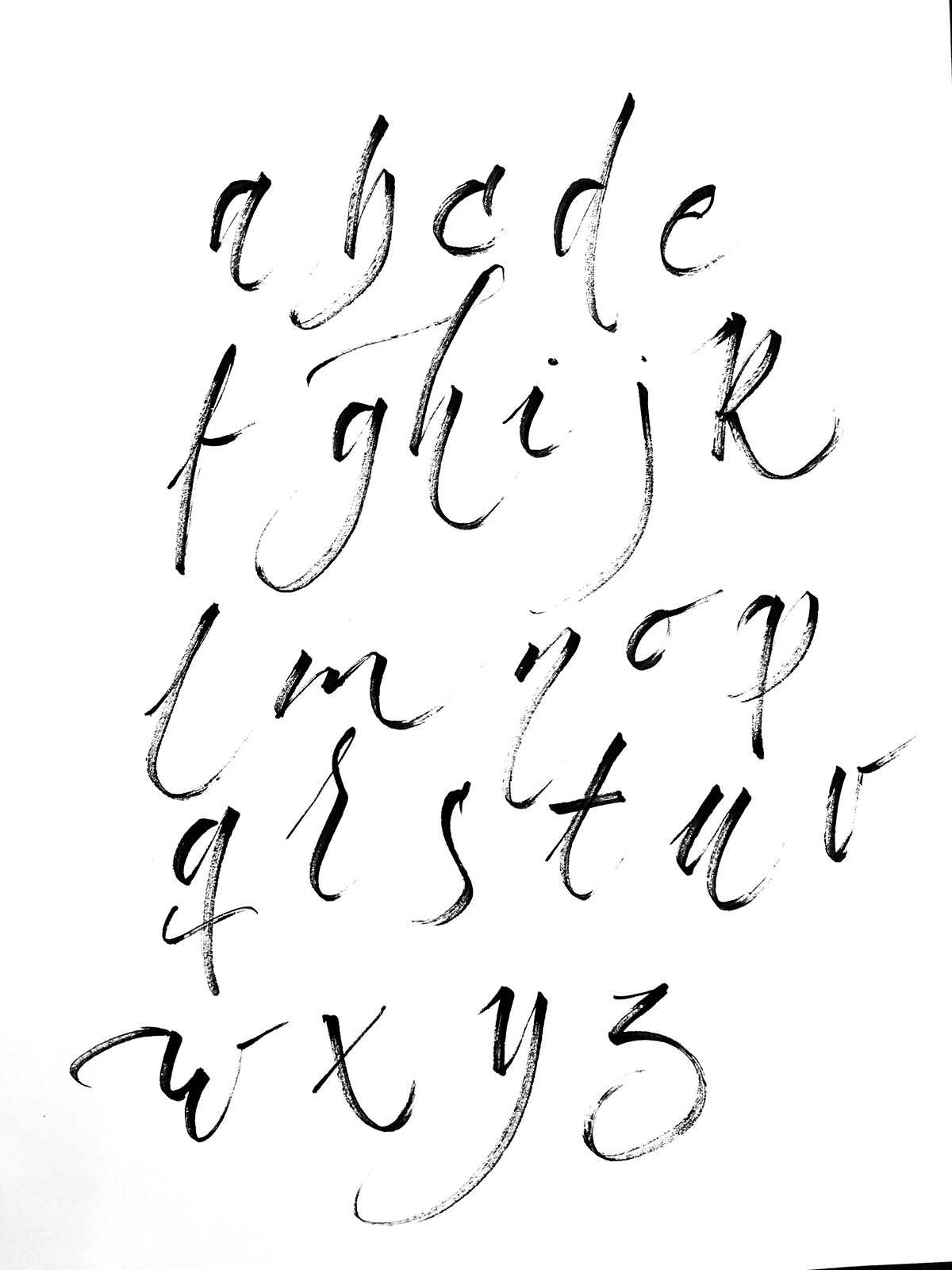 type caligrafia typo tipografia letter letters typism Calligraphy   typegang GoodType