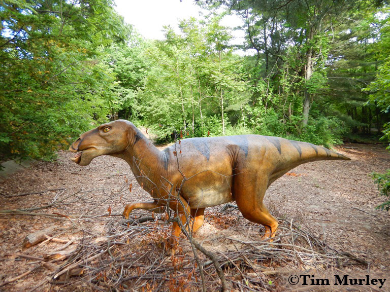 brontosaurus Dino dinos Dinosaur dinosaurs hell creek formation jurassic jurassic park Jurassic World pterodactyl T rex trex triceratops tyrannosaurus