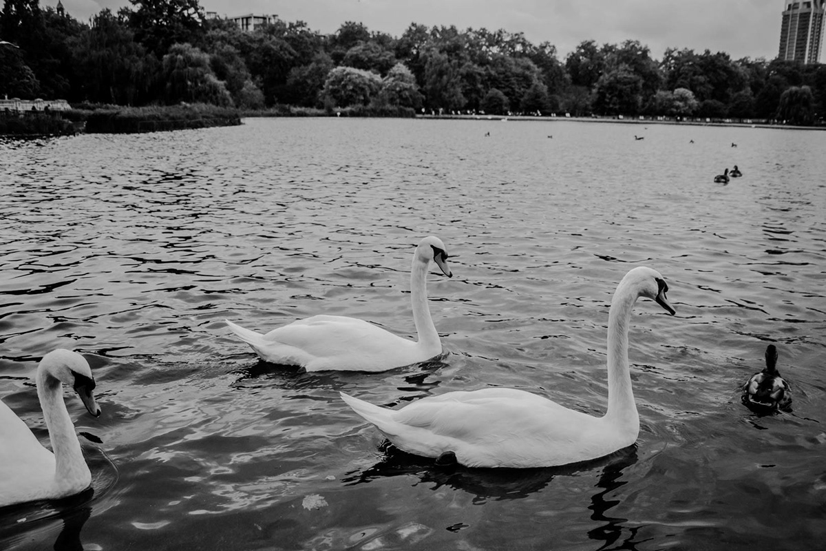 London hyde park Park