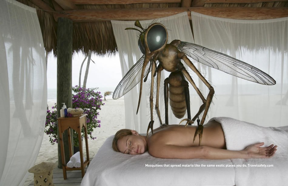 mosquito malaria vacation