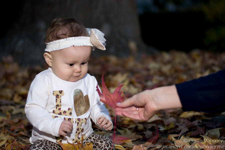 Fall baby photography leaves