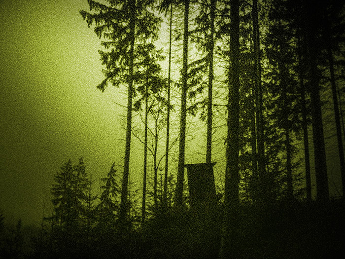 high seat deerstand woods forest nightscope DUSK nightfall gloaming night