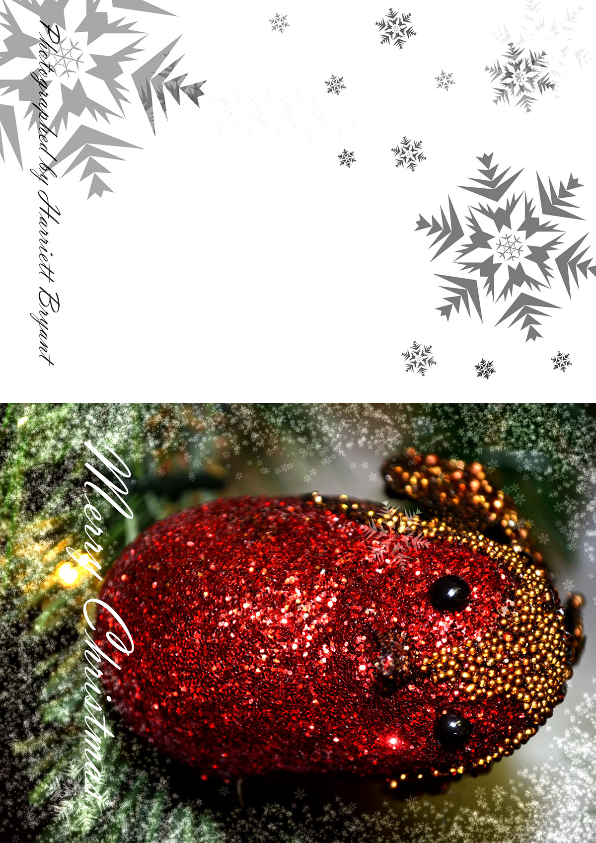 Christmas holidays cards Calenders