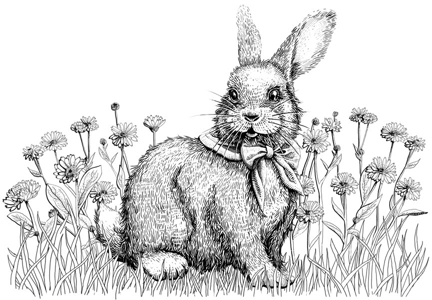 engraving animals rabbit bunny children illustration