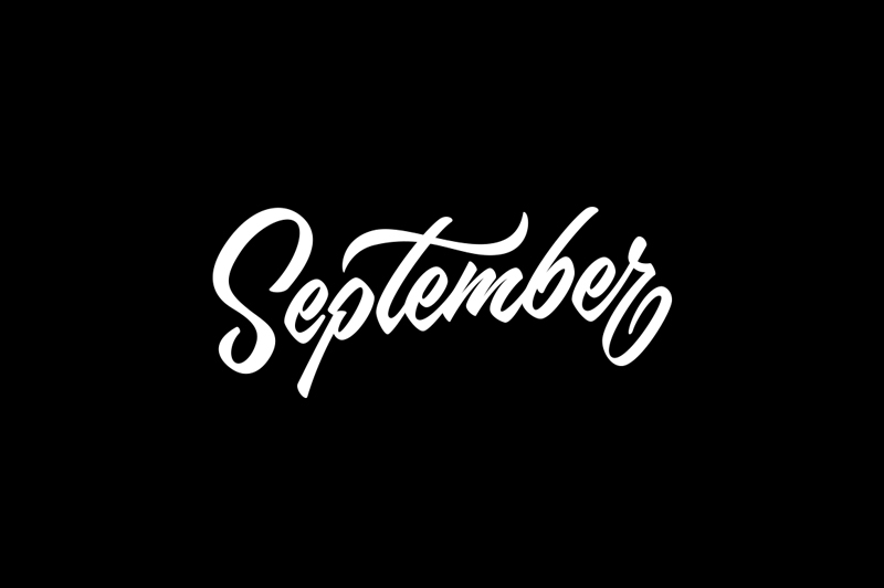 brush lettering pen letter type typo month calendar Typeface
