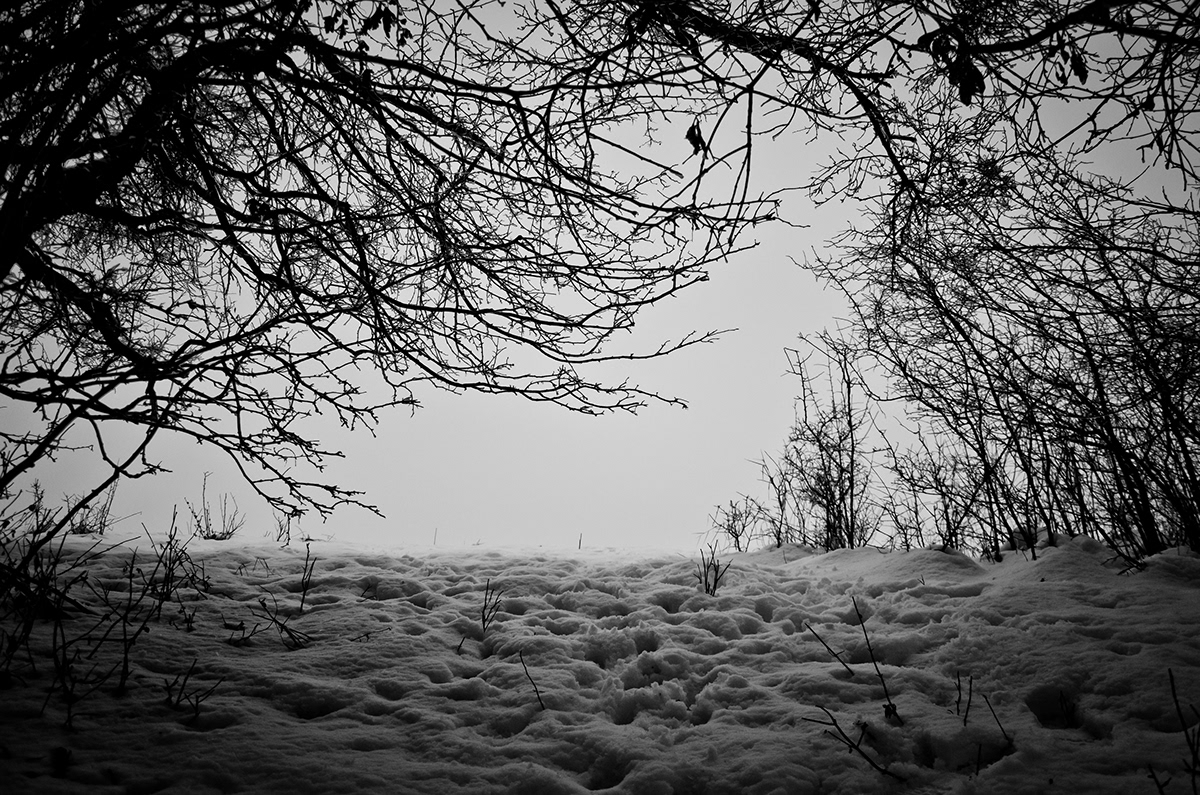 winter romania snow sky trees