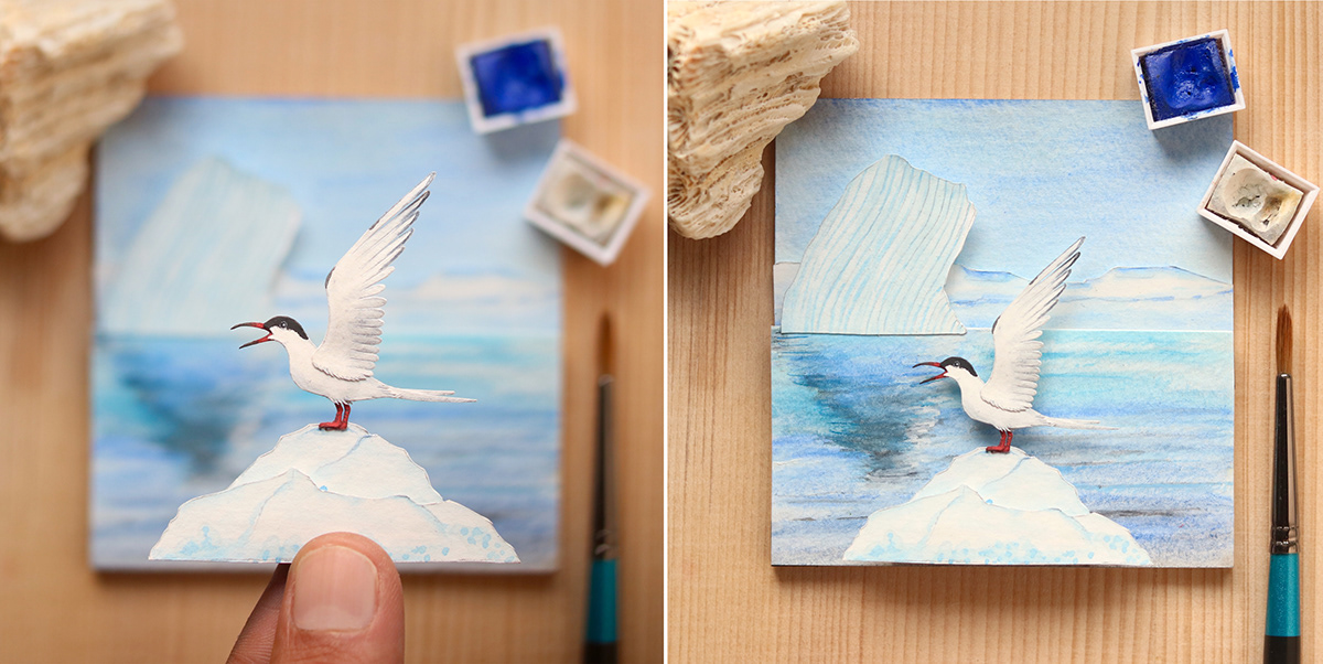 birds crafts   Diorama ILLUSTRATION  Nature paper art paper cut Photography  water colour wildlife