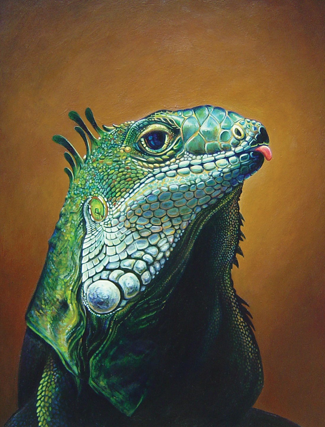 wildlife art animals wildlife iguana lizard Pet portraits portraits acrylic