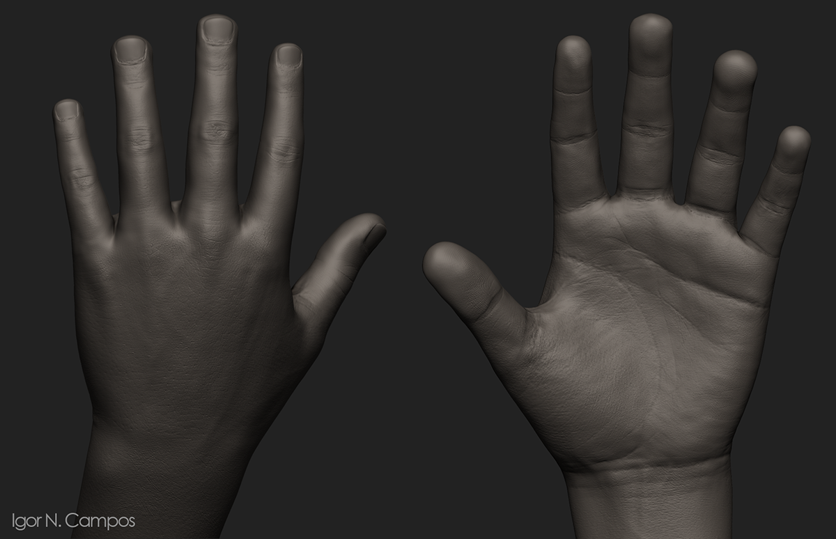 hand 3D anatomy finger Zbrush Igor Neres Campos igor traditional texture