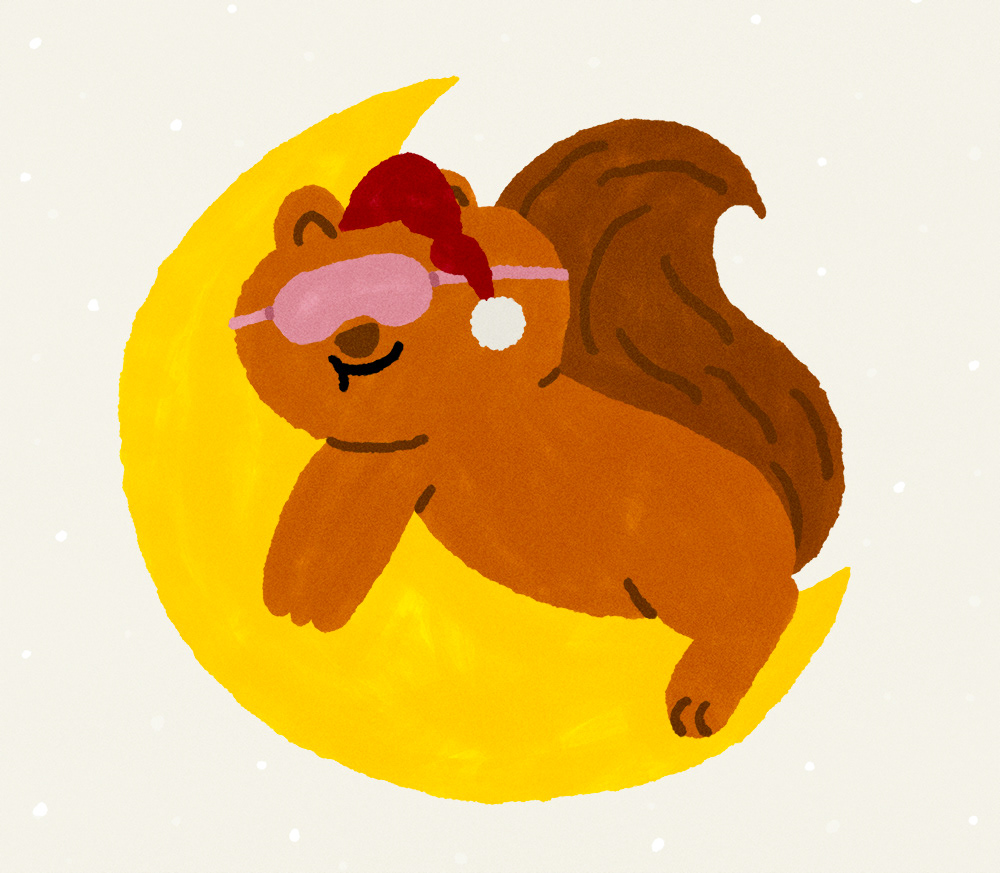 desing Digital Art  Drawing  Holiday magazine package sleep squirrel warm winter