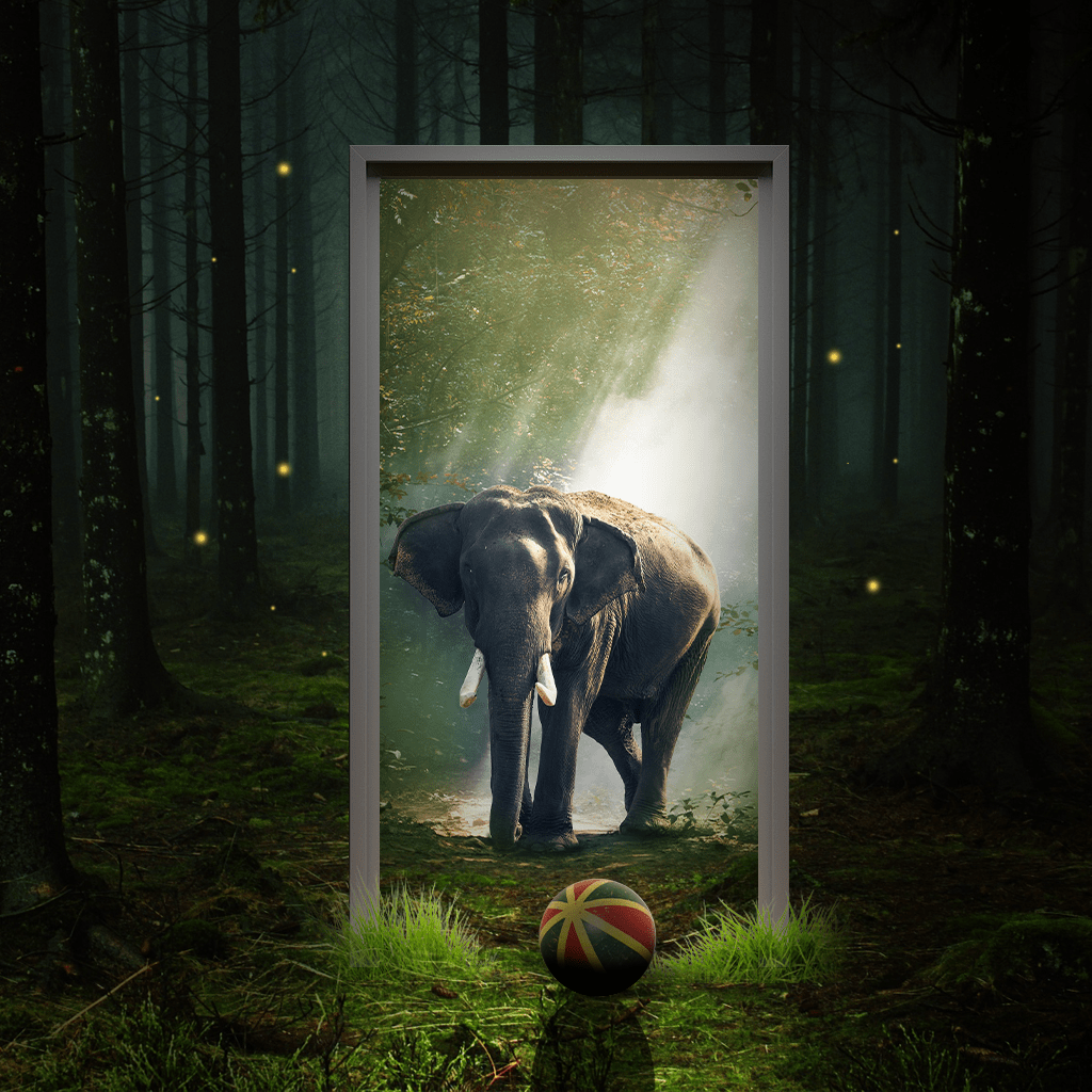 animal ball Digital Art  elefante Nature photoshop