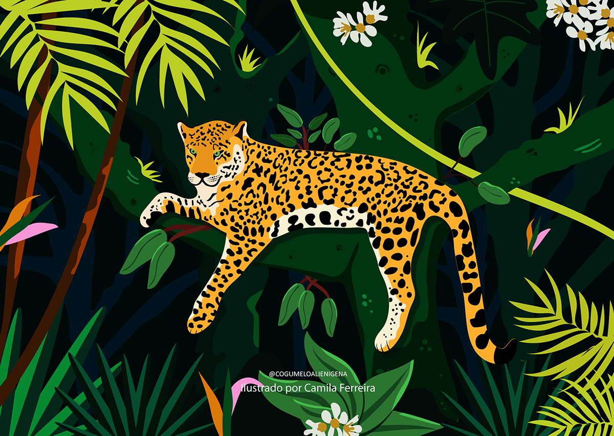 amazonia Brasil design gráfico fauna ILLUSTRATION  Ilustração pantanal poster tucano vetor