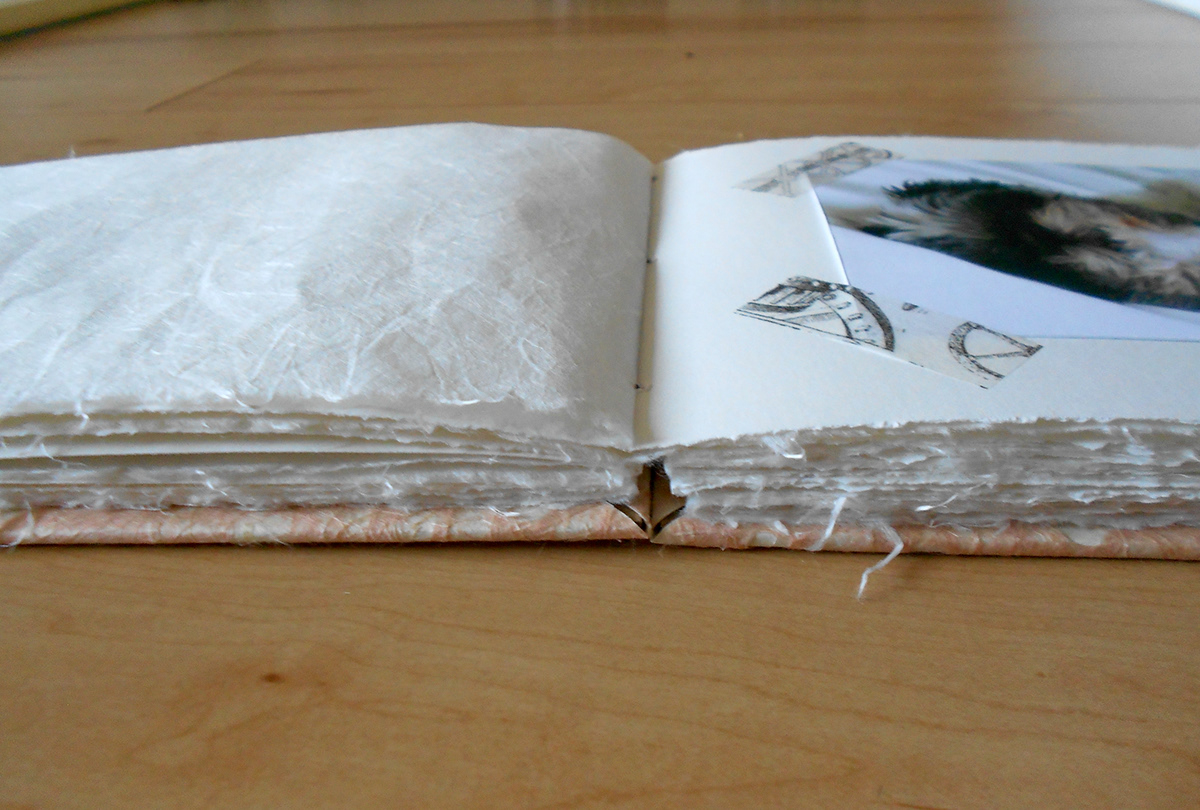handmade  paper  washi  french  album  book