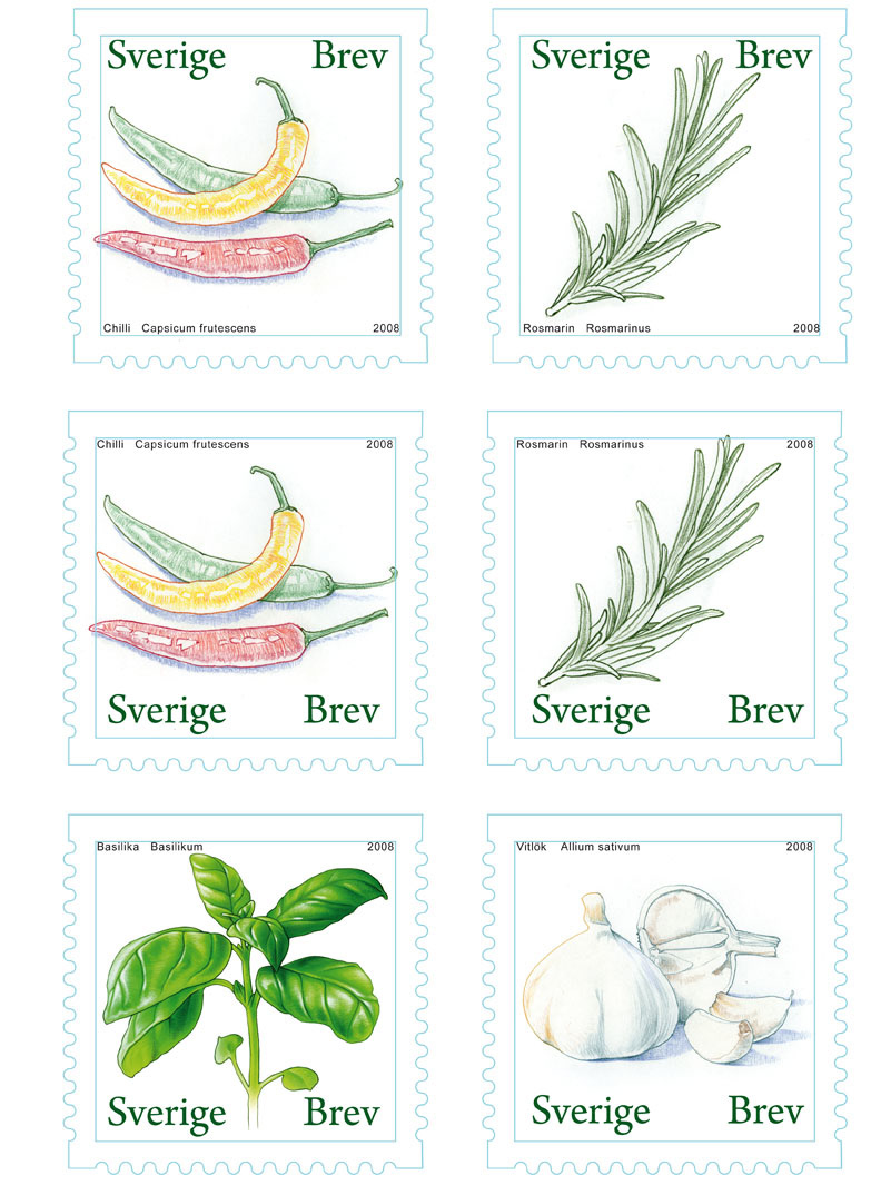 Basil Chilli Garlic rosemary stamp airbrush