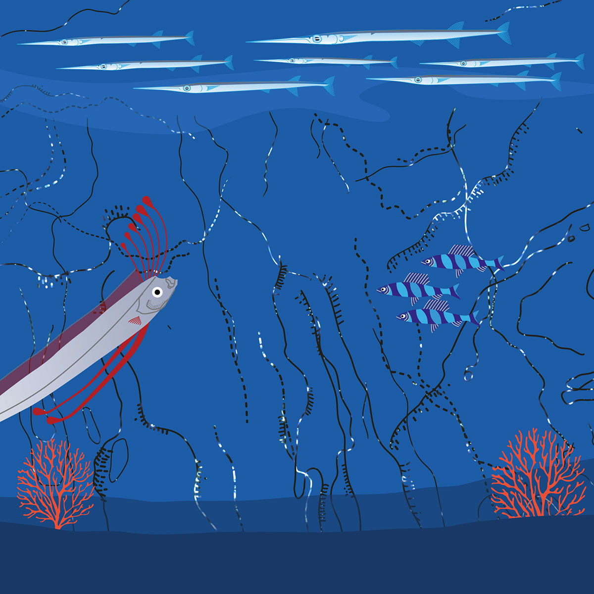 fish creatures undersea Ocean