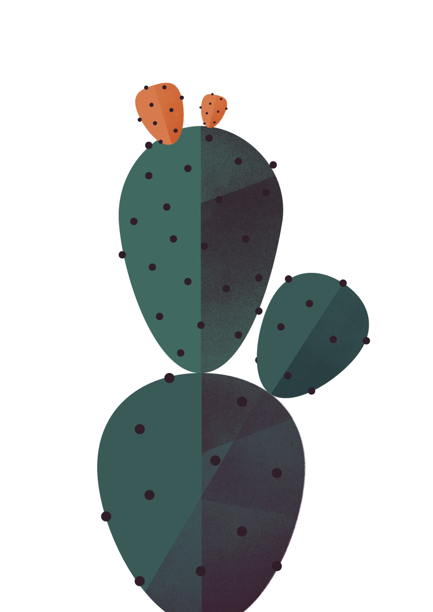 cactus geometry print poster Nature simple cacti Flora