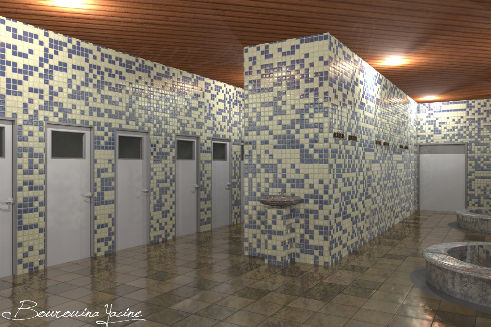 art architecture design modeling 3d ablutions bath room archicad