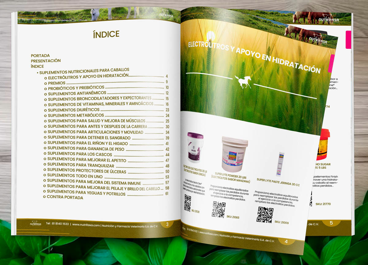 design gráfico marketing   catalogo pdf Catálogos de productos