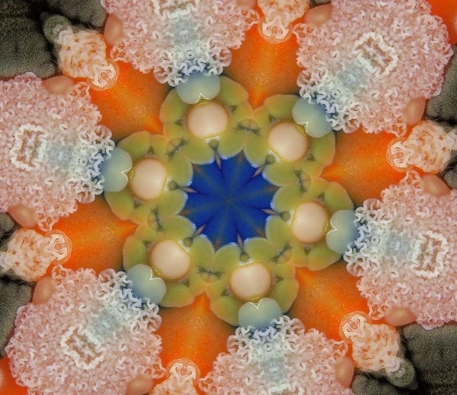 art bioart Biodesign blend colours design Fungi glitche layers microbiology mirror mix pattern petridish pharmacy texture