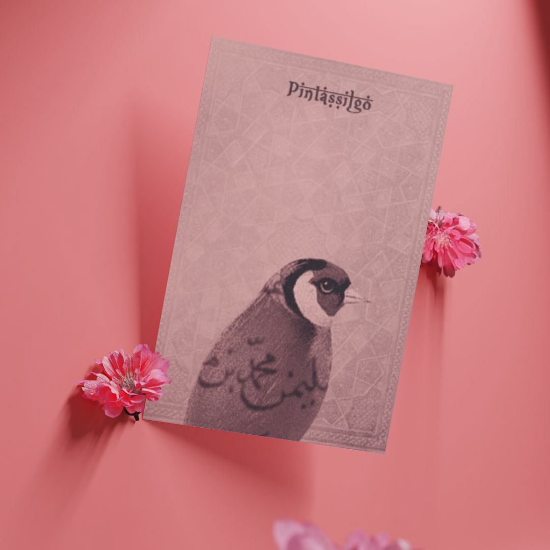 bird book cover Bookdesign postcard design print book editorial design  brochure cartaz poster