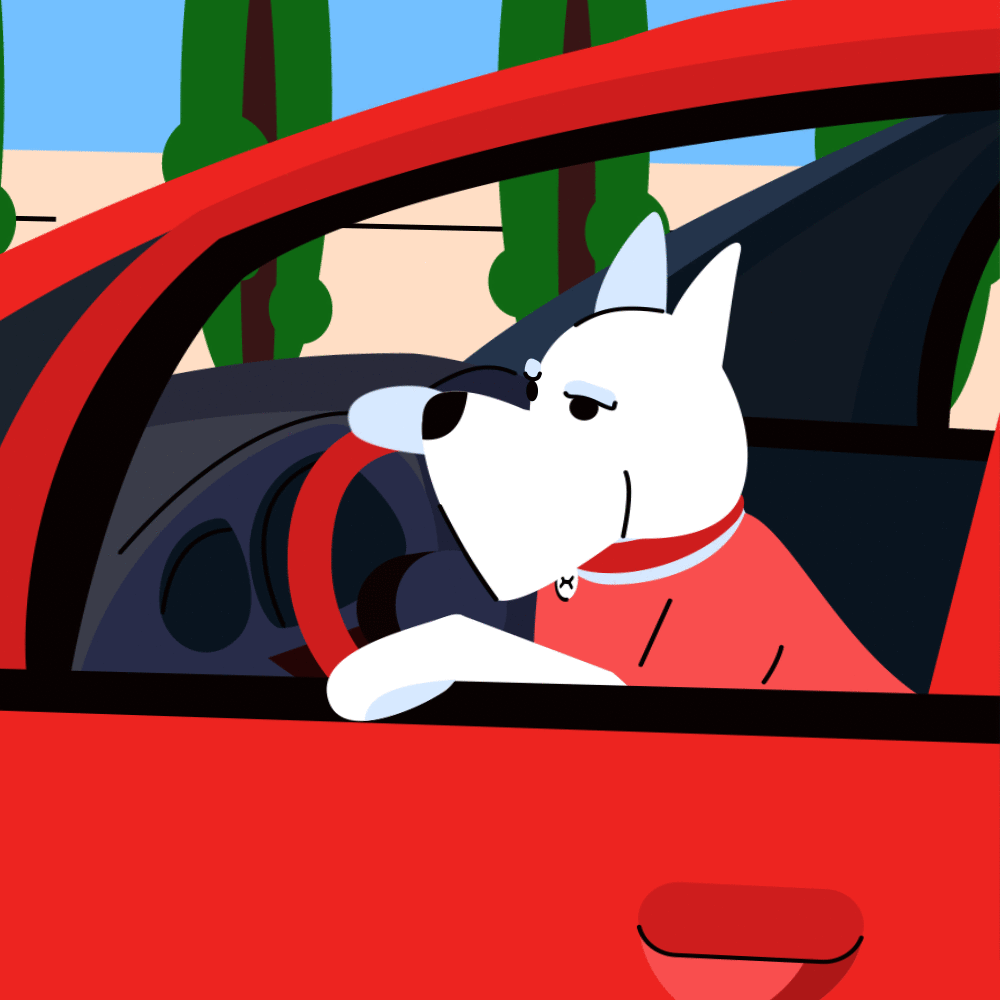 animal animation  car dog drive fast red