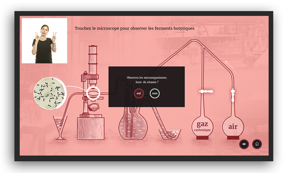 chimie Experience Interactive Illustration interface design ui design