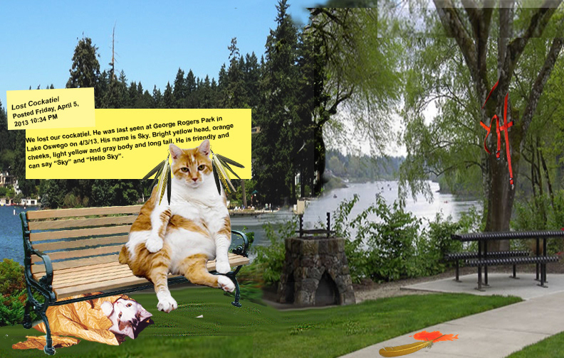 Zine  pdx collage satire Portland book photoshop