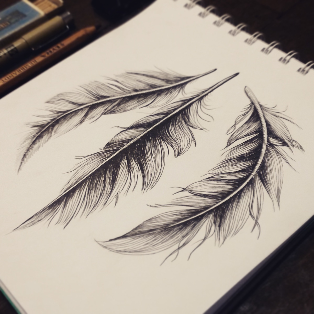 feathers Plumas tattoo diseño tattoo ilustration diego jimenez ilustrador diye artist diye illustration diye design