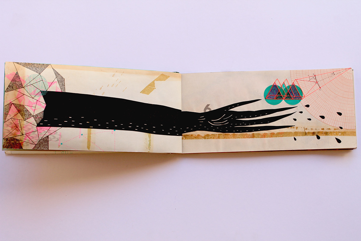book handmade axolotl universe creatures pencil ink texture colour contrast morfologia longinotti