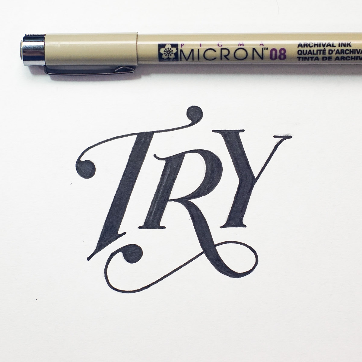 lettering typography   Calligraphy   brush pen pencil HAND LETTERING Collection