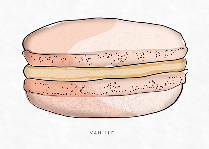 illustrations flavors macaron macarons macaroons watercolor digital icons