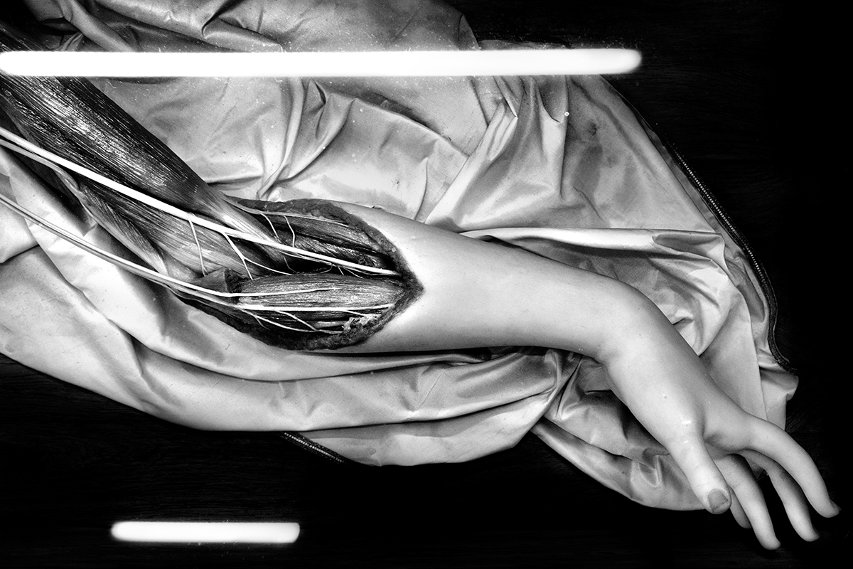 stilllife human anatomy dead reflection error museum laspecola blackandwhite Florence
