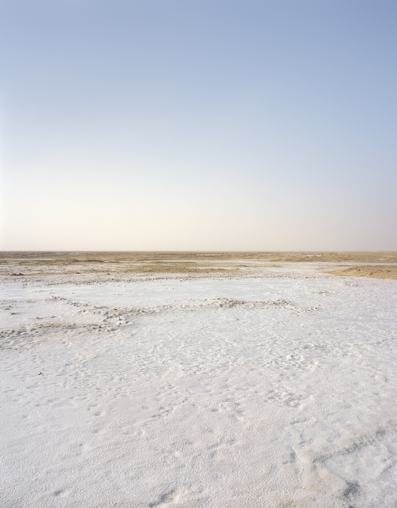 UAE Abu Dhabi dubai western region Landscape sustainabilit environment Ecology sabkah sabkha sabka halophyte Bio-Fuel