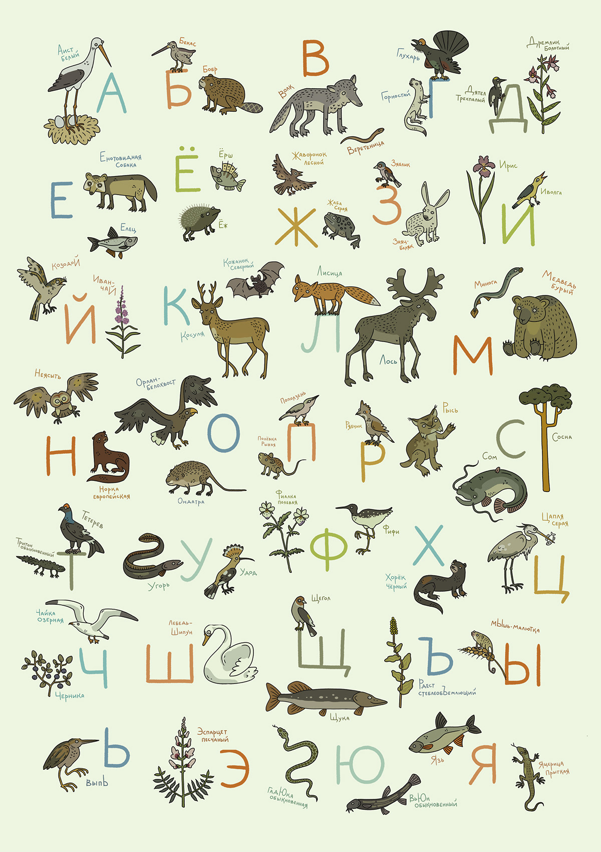ABC digital illustration animals Nature animal illustration children
